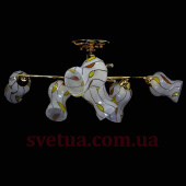 Люстра Декоративная SR-9831/6C FG фото